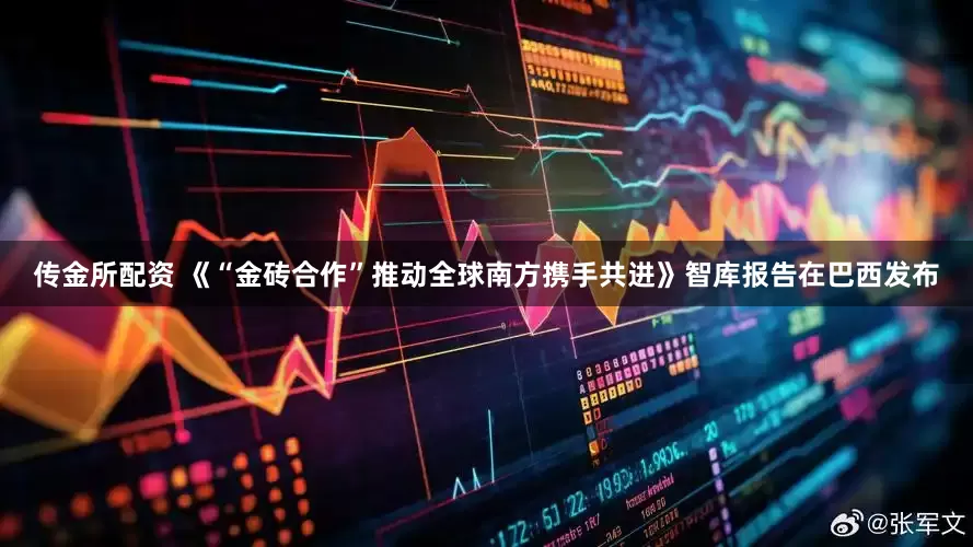 传金所配资 《“金砖合作”推动全球南方携手共进》智库报告在巴西发布